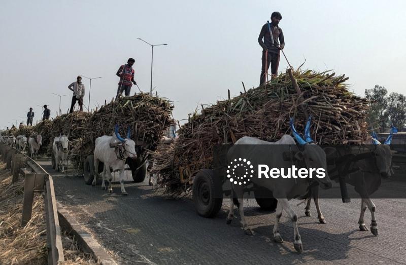 Produção de açúcar da Índia aumenta 10,4% no acumulado da safra, diz associação