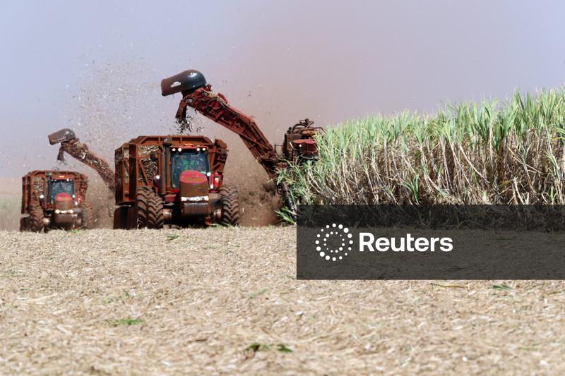 Brasil reduzirá exportações de açúcar em 14% com mudança para etanol, diz Safras & Mercado