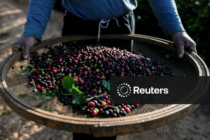 Evolução modesta da produtividade no Brasil pode limitar crescimento e pressionar inflação, aponta BC