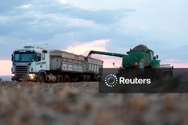 Pedidos de recuperação judicial no agro aumentaram 56,4% em 2025, diz Serasa