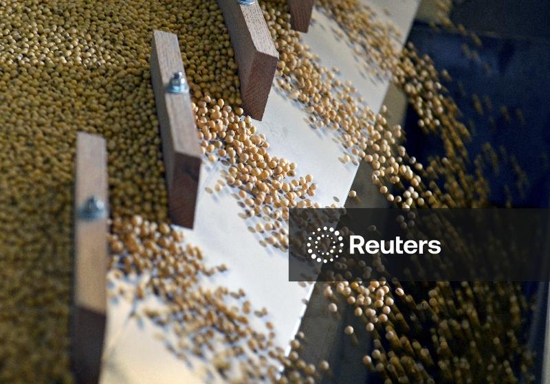 Ministério diz que Brasil segue normas de importador de soja ao comentar queixa da Cargill