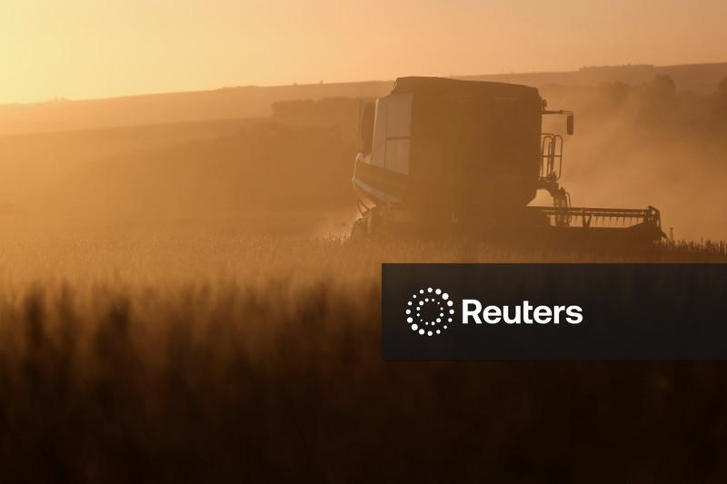 Área plantada com soja em 2026/27 não deve cair, diz CEO da SLC Agrícola