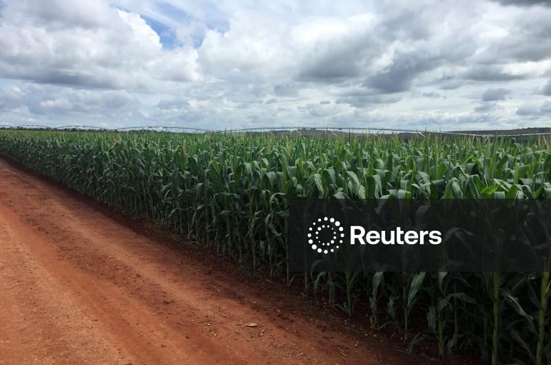 IGP-10 passa a cair 0,24% em março, diz FGV