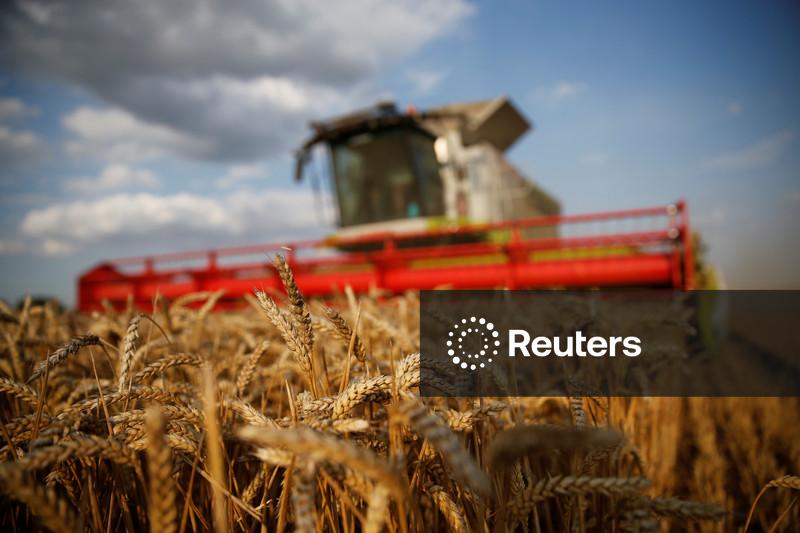 Monitor de safras da UE prevê produtividades menores de trigo soft e canola em 2026