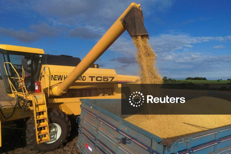 AgRural corta previsão de safra de soja do Brasil para 178 mi t por perdas no RS