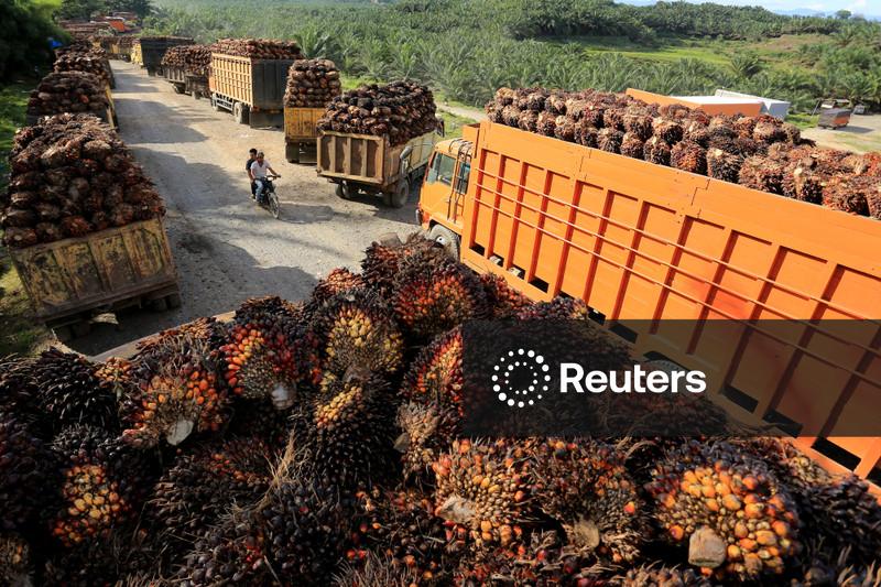 Indonésia pode reviver plano de mistura de biodiesel B50 em meio à alta de preços do petróleo