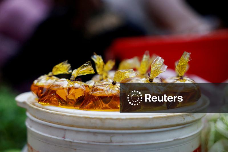 Mercado de óleos vegetais fica preso entre demanda fraca e apostas no biodiesel, diz analista