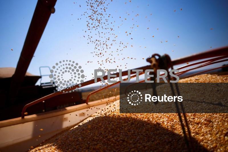 Caramuru projeta elevar em 12% originação de soja em 2026