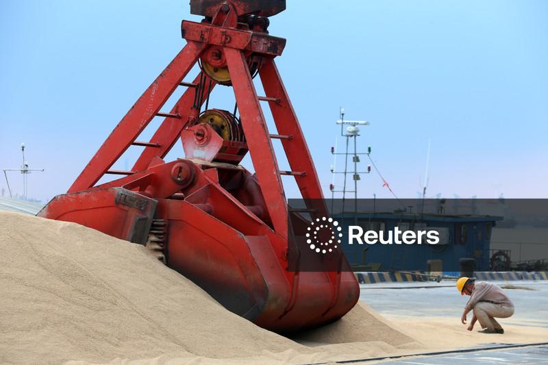Exportadores de soja discutem com governo procedimentos para embarques à China