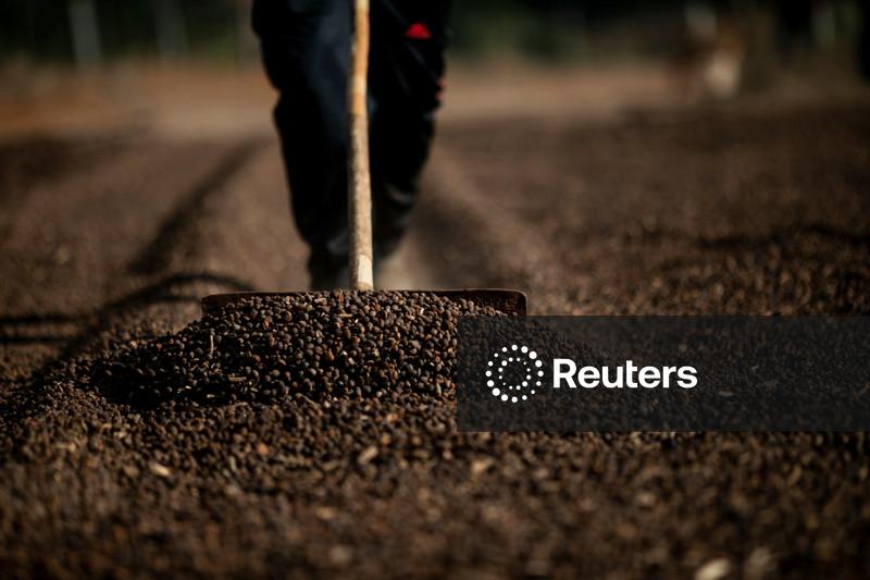 Açúcar bruto atinge máxima de 5 meses; café arábica sobe 3,5%