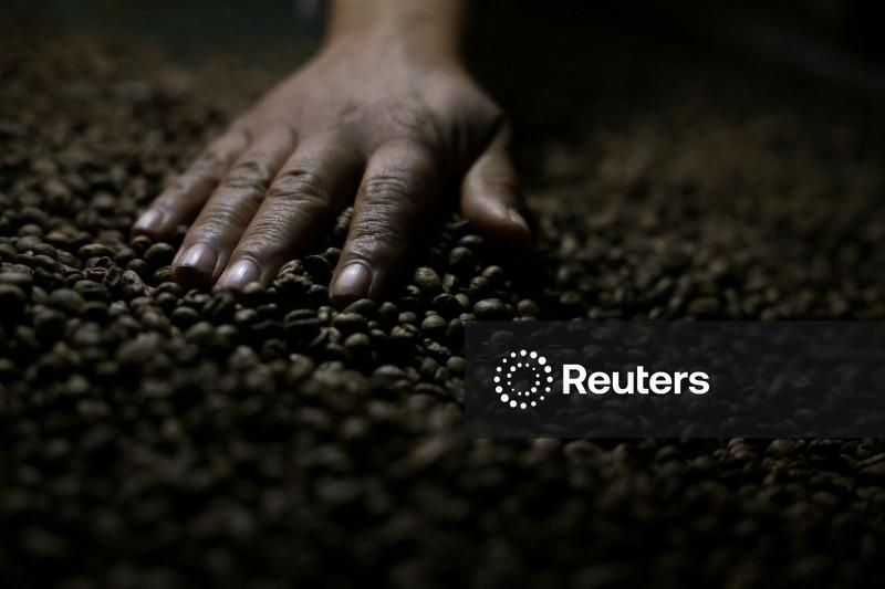 Preços do café robusta caem para mínima de sete meses