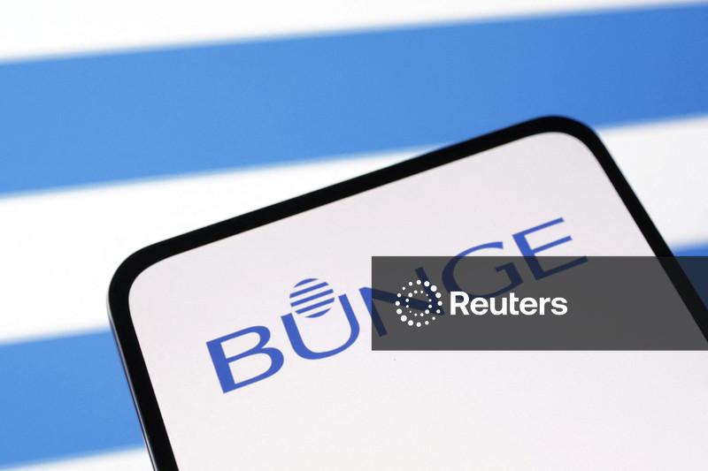 Bunge eleva previsão de lucros devido a margens fortes de processamento
