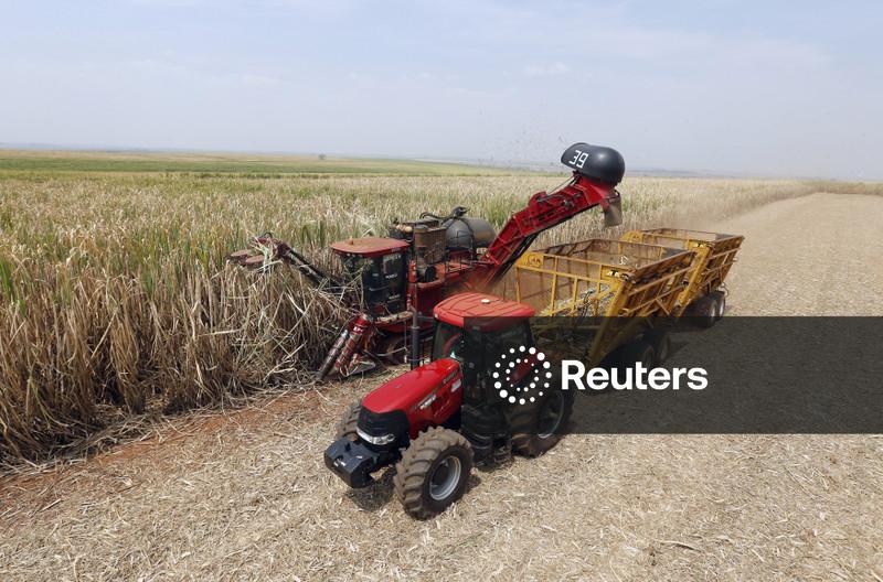 Mercado vê prêmios mais baixos para etanol anidro no Brasil prevendo volumes recordes, diz Argus