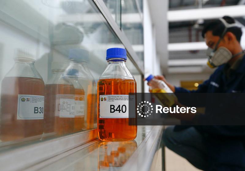 Indonésia define cronograma de mandato para biocombustível, com mudança total para B50 até 2028