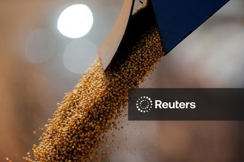 BB vê sinais de melhora em pagamentos do agro, mas ainda monitora setor