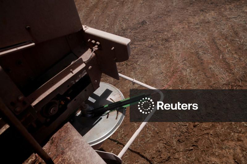 Consumo de fertilizantes no Brasil deve cair em 2026 em meio a preços mais altos por guerra, diz Rabobank