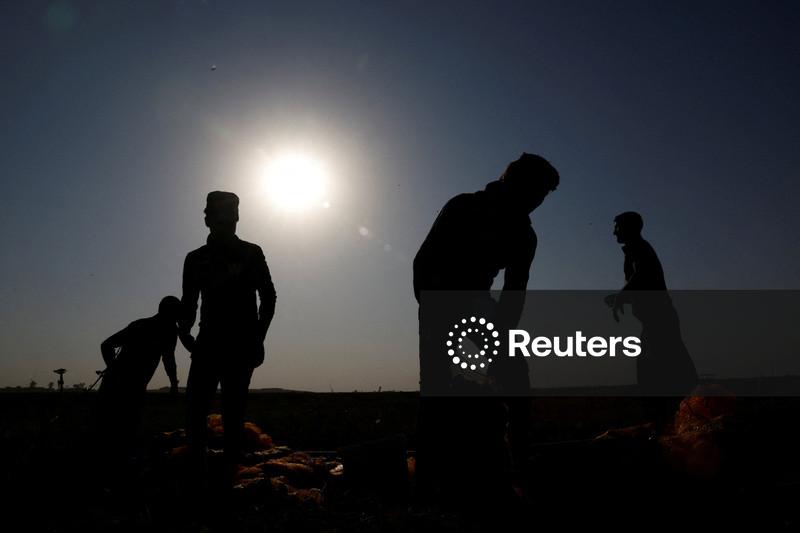 Calor extremo ameaça os sistemas de alimentos no mundo, alertam agências da ONU