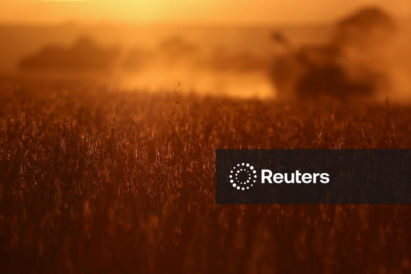 Conab eleva previsões para safras de soja e milho do Brasil