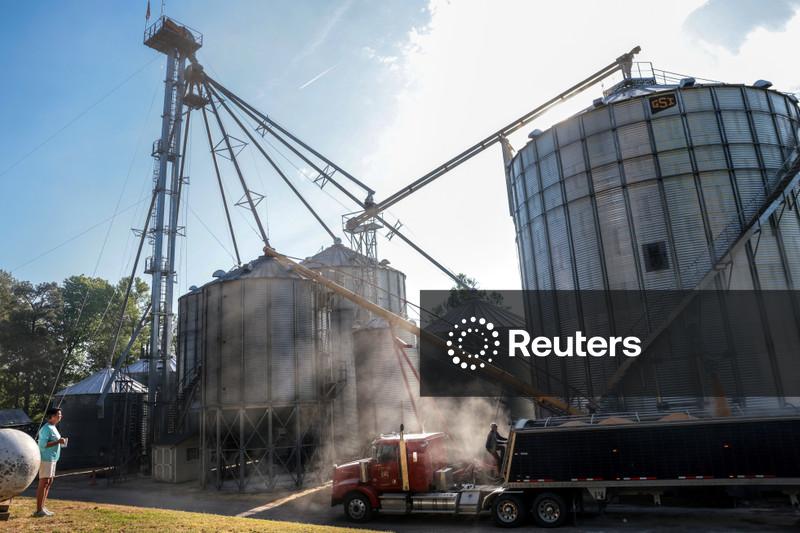 Lula confirma que mistura de etanol na gasolina deve subir e indica alta para biodiesel