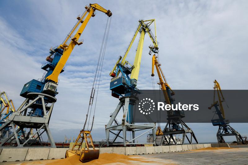 Compradores dos EUA adquiriram trigo da Polônia nas últimas semanas, dizem operadores