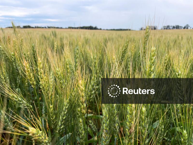 Preços mundiais de alimentos aumentaram em março, com guerra do Irã elevando custos de energia, diz FAO