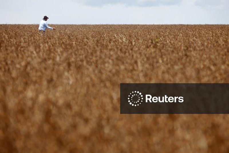 Anec reduz projeção de exportação brasileira de soja em abril