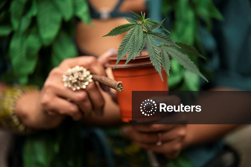 EUA devem avançar com reclassificação da maconha já nesta quarta-feira, diz Axios