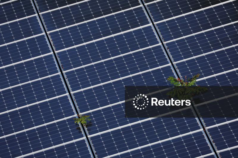 Justiça bloqueia ações do governo Trump que impedem projetos eólicos e solares