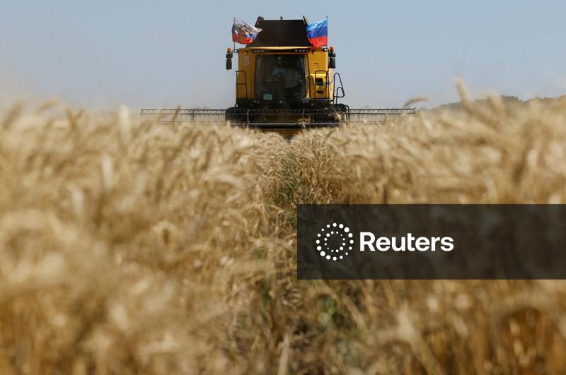 Ucrânia tem conflito diplomático com Israel por grãos que Kiev diz terem sido "roubados" pela Rússia