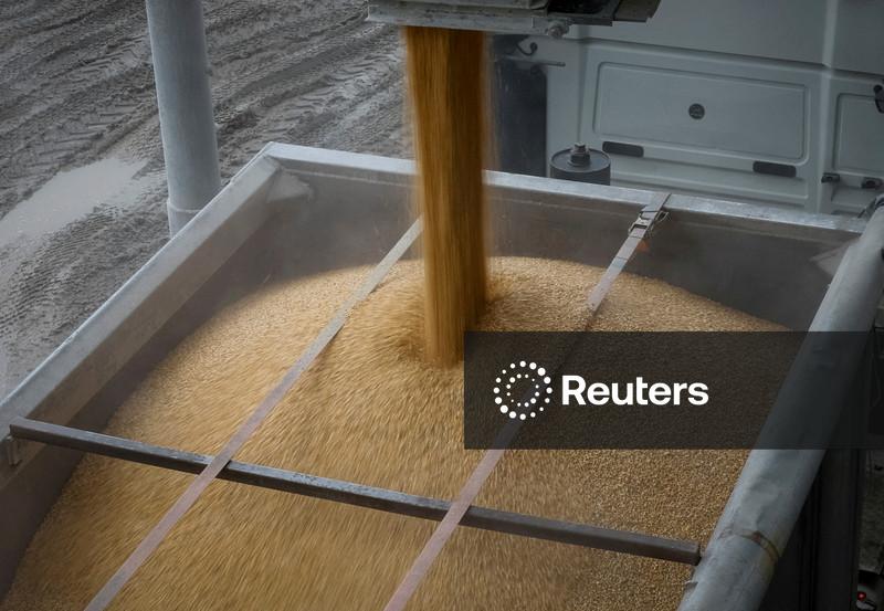 Preço do milho sobe com exportações dos EUA, preocupações com seca elevam trigo