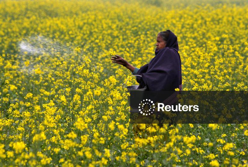 Indonésia negocia exportação de fertilizantes para Brasil, Índia, Tailândia e Filipinas