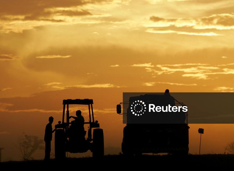 Preço do etanol aprofunda queda nas usinas de SP no início da nova safra, aponta Cepea