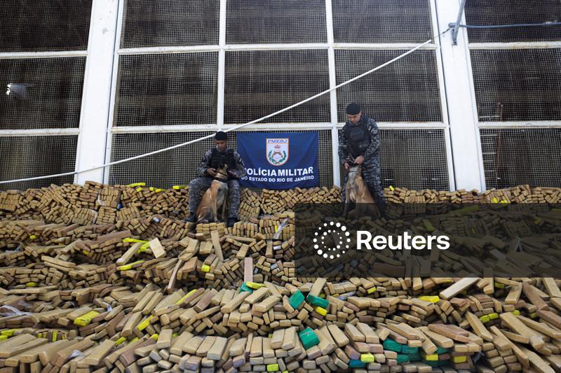 Polícia do Rio encontra 48 toneladas de maconha na maior apreensão de drogas do país
