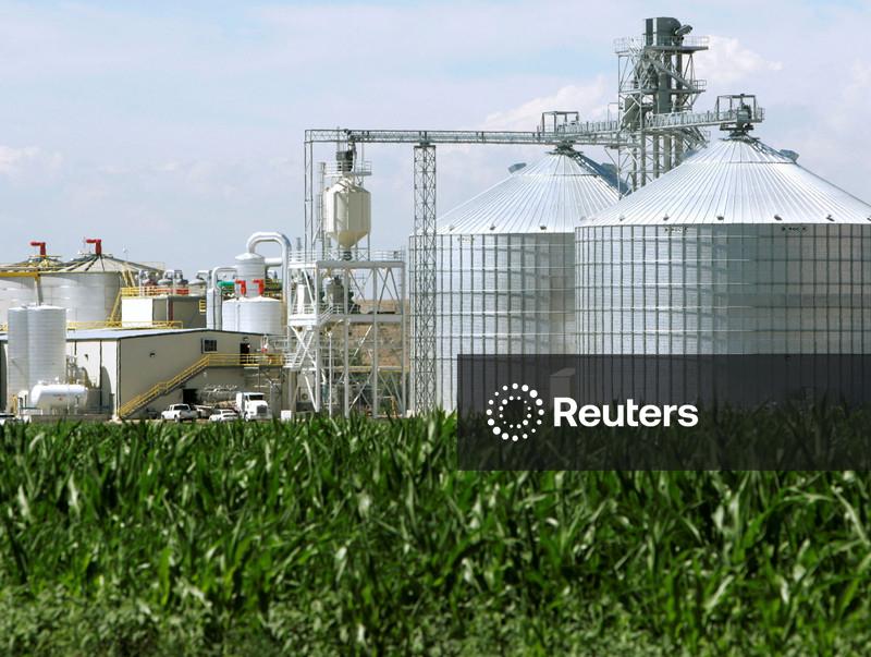 Biocombustíveis voltam à moda com aumento no preço do petróleo por guerra