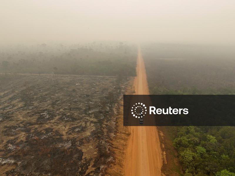 Perda de florestas tropicais diminui em 2025 após recorde, mostra relatório