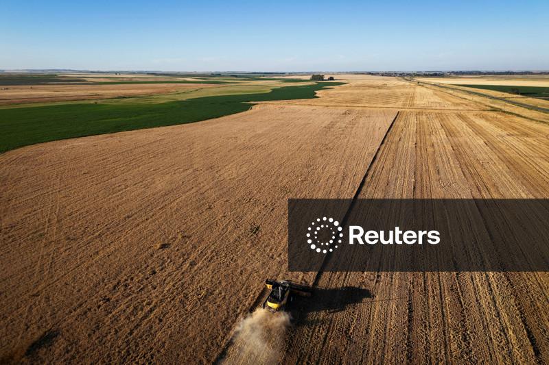 Clima ruim eleva preços do trigo nos EUA