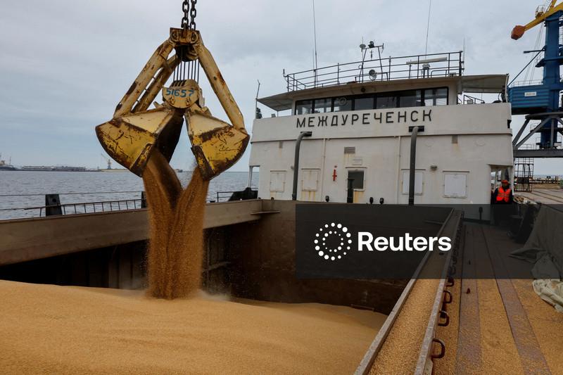 IGC reduz safra mundial de trigo e milho em 2026/27