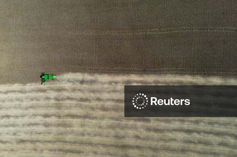 Colheita de soja atinge 82% da área do Brasil, há preocupação climática com milho, diz AgRural