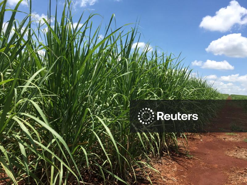 Aumento da mistura de etanol no Brasil aumentará demanda anual em 1 bi litros, diz Unica