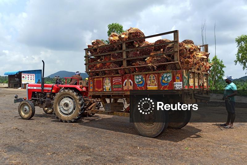 Importações de óleo de palma pela Índia caem 19% em março, ao menor nível em três meses