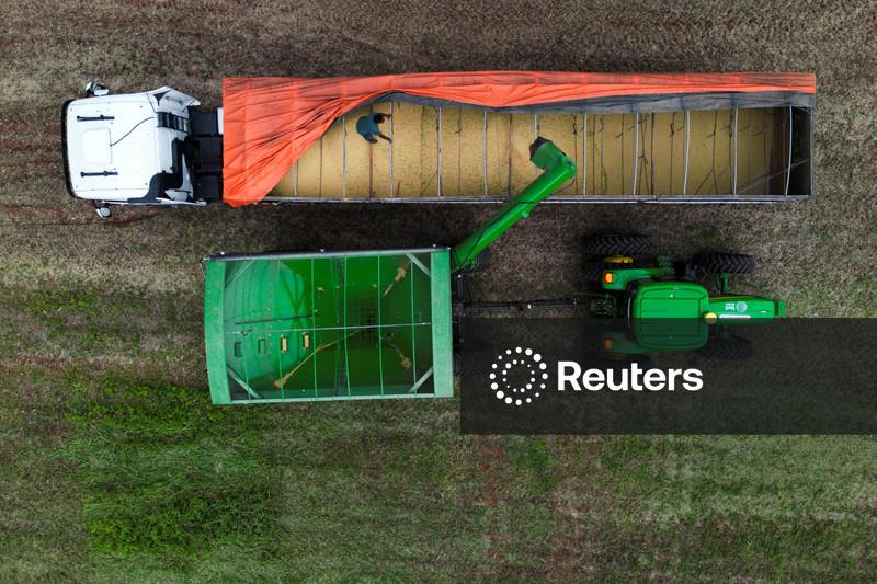 Vendas de colheitadeiras no Brasil recuam quase 50% em fevereiro, diz Fenabrave