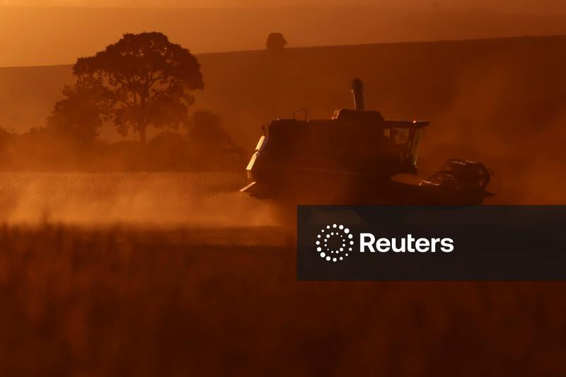 Safras & Mercado eleva estimativas de colheita e esmagamento de soja no Brasil