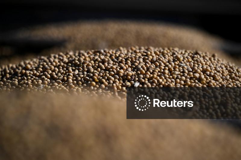 Anec reduz projeção de exportação brasileira de soja em abril, mas ainda vê recorde