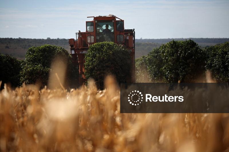 Empresas do agronegócio registram salto na rotatividade de CEOs no Brasil, aponta pesquisa