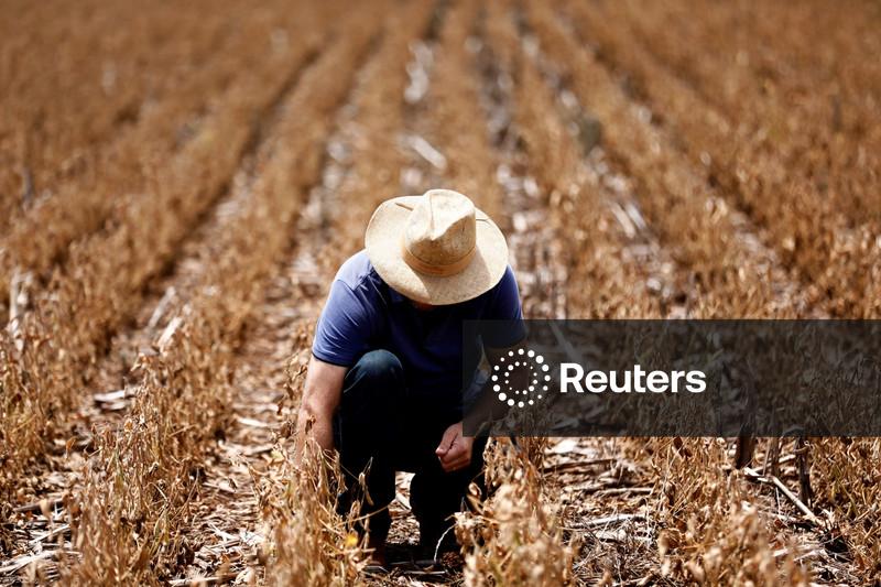 Exportação de soja brasileira quebra recorde de 5 anos em abril, diz Secex