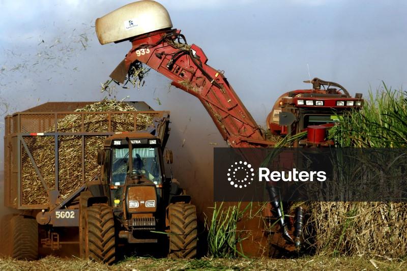 Produtividade da cana do centro-sul do Brasil cresce 13% em abril, diz CTC