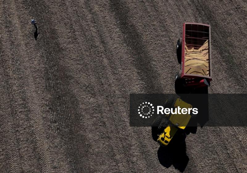 O que as novas compras agrícolas da China nos EUA significam para o comércio global?