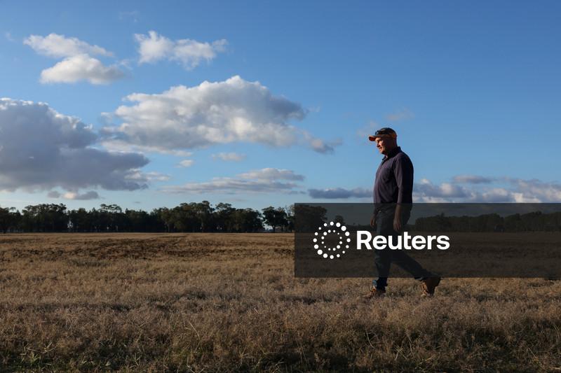 Clima favorável para safra dos EUA pesa sobre futuros do milho e da soja