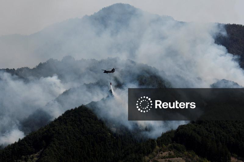 Incêndios atingem recorde e extremos de calor "sem precedentes" se aproximam, dizem cientistas