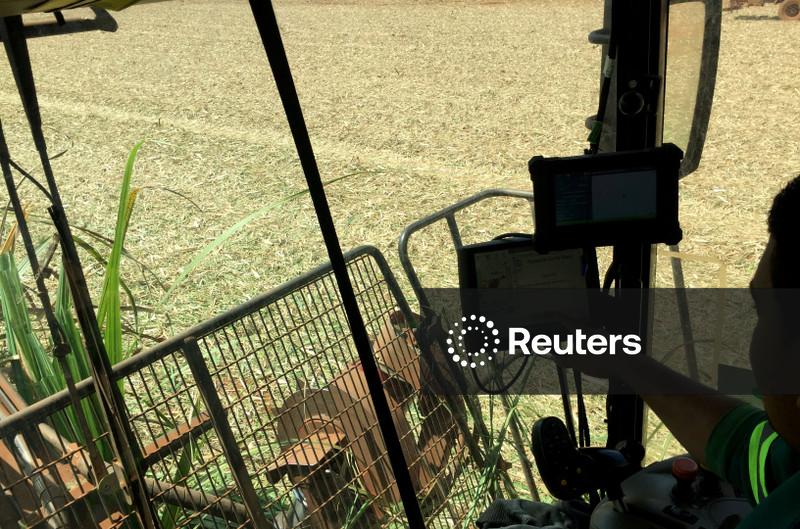 Preços mais altos de diesel e fertilizante aumentam custo de produção do açúcar, diz Datagro